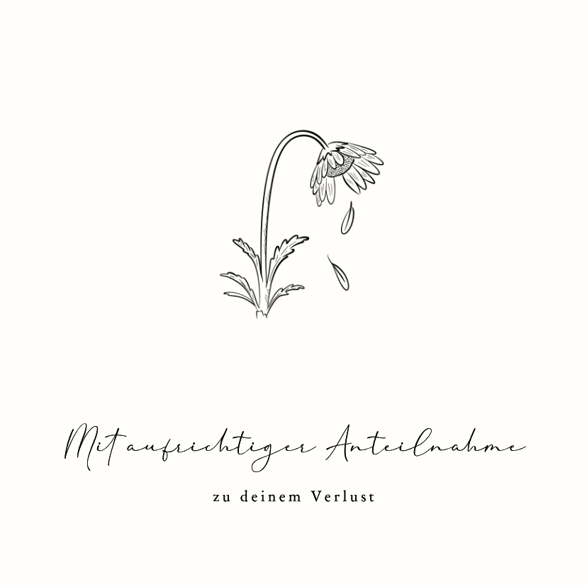 Beileidskarte Blume fallendes Blütenblatt Zeichnung - Beileidskarten Beileidskarten - Beileidskarte Blume fallendes Blütenblatt Zeichnung