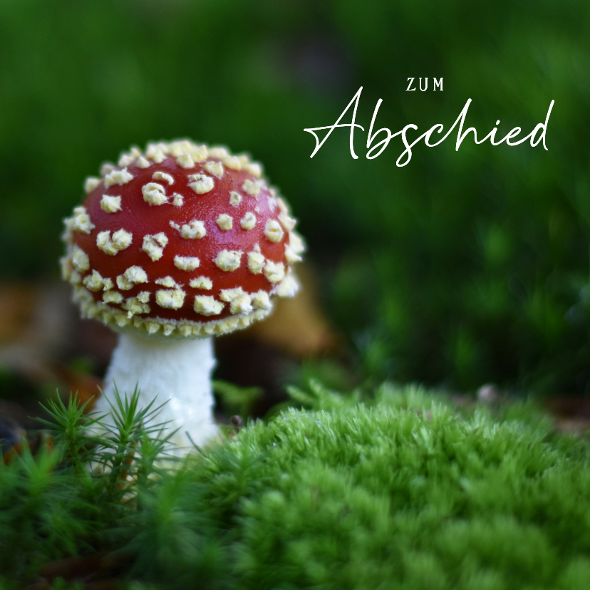 Beileidskarte Naturmotiv Fliegenpilz 'Zum Abschied' - Beileidskarten Beileidskarten - Beileidskarte Naturmotiv Fliegenpilz 'Zum Abschied'