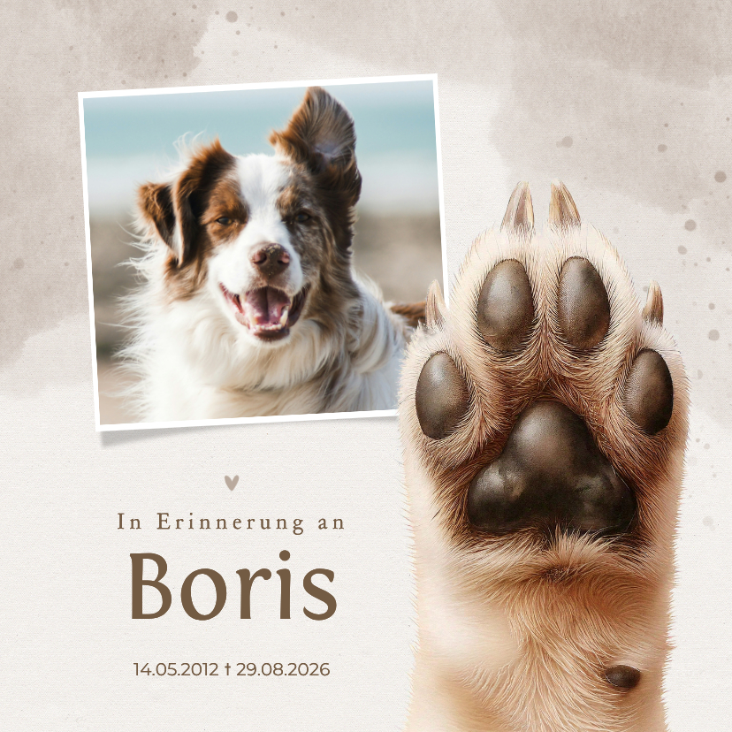 Beileidskarten - Beileidskarte Pfote Hund mit Foto 'In Erinnerung an'