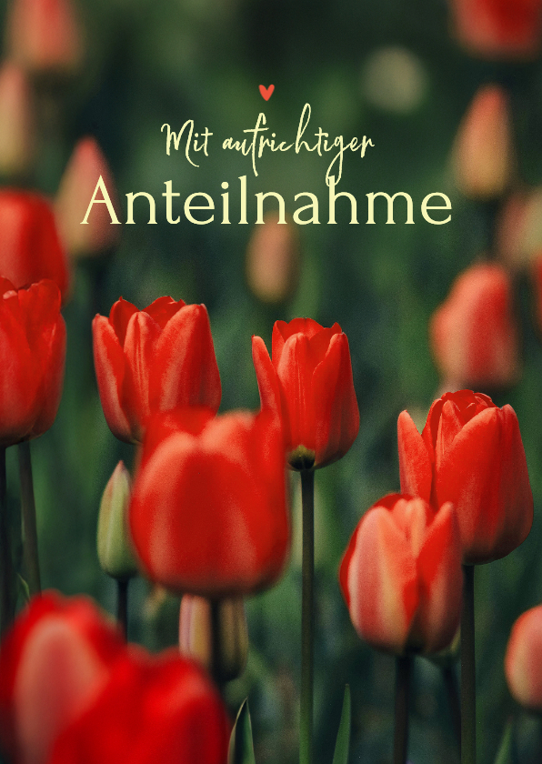 Beileidskarten - Beileidskarte rote Tulpen Blumenfotografie Anteilnahme