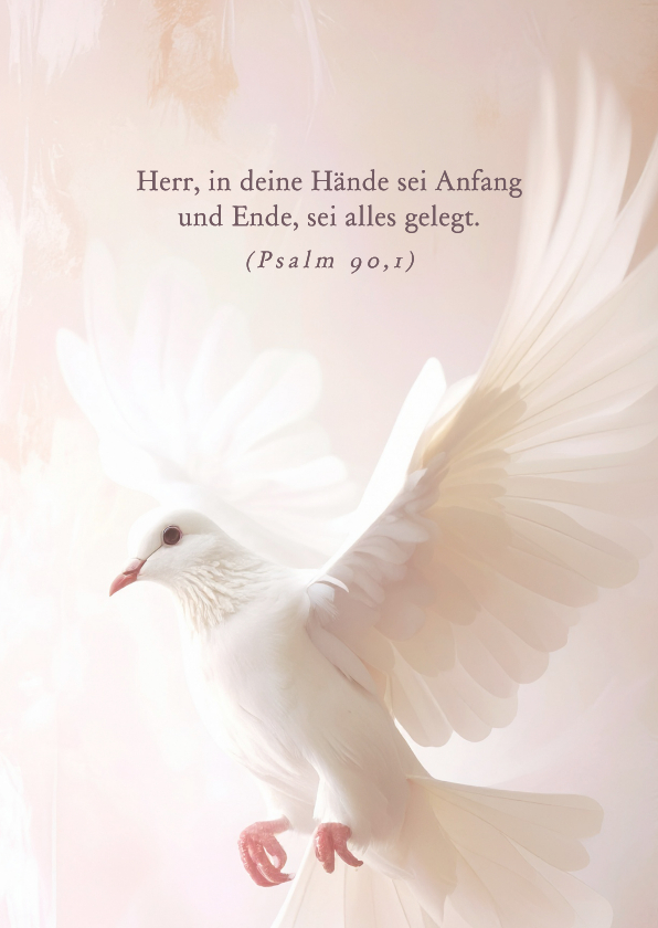 Beileidskarten - Beileidskarte weiße Taube christlich 