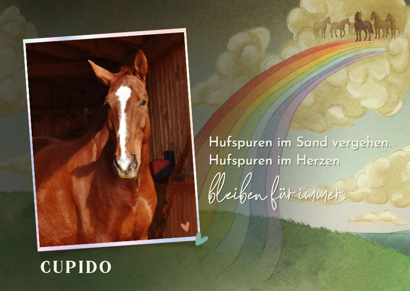 Beileidskarten - Foto-Beileidskarte Hufspuren Pferd Verlust Regenbogenbrücke