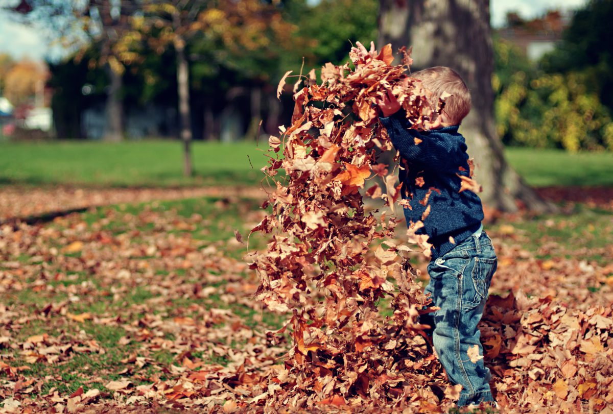 Kindergeburtstag im Herbst