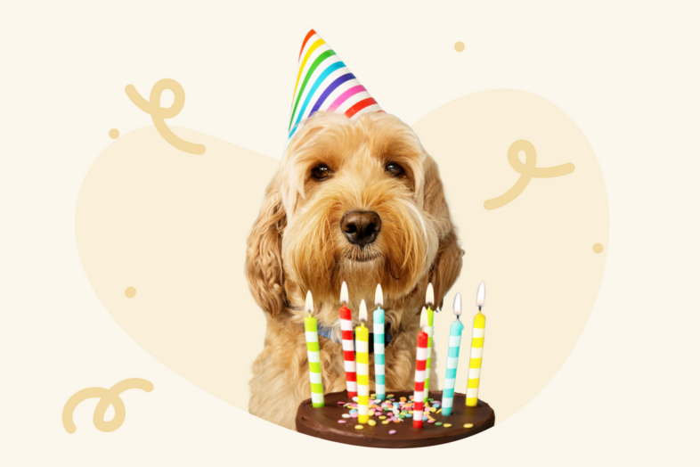 Gedichte und Einladungssprüche zum Geburtstag