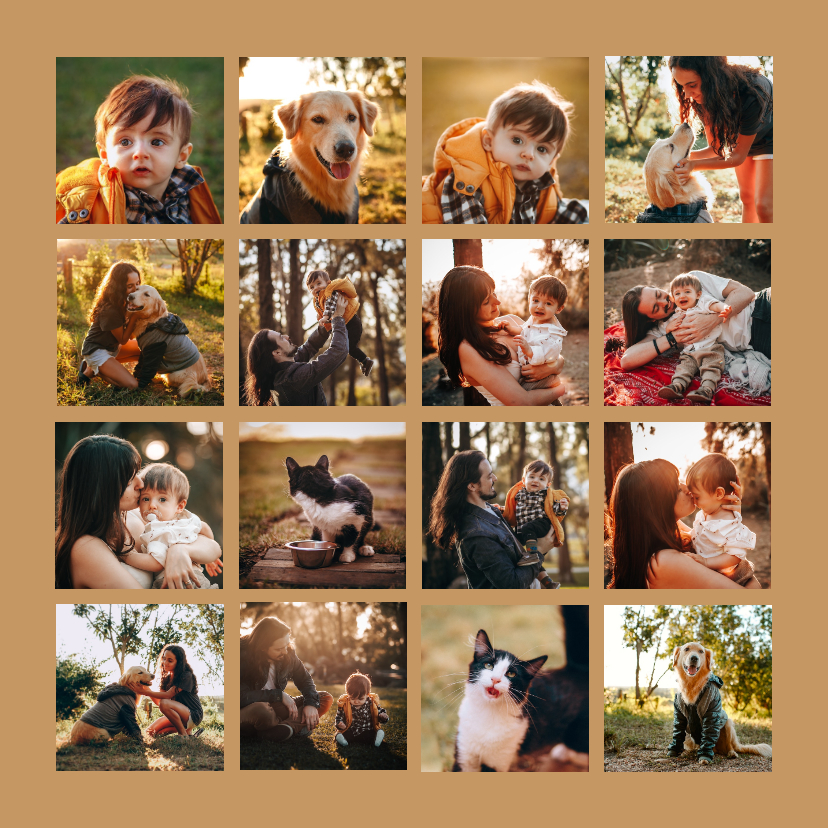 Fotokarten - Fotokarte mit sechzehn Fotos