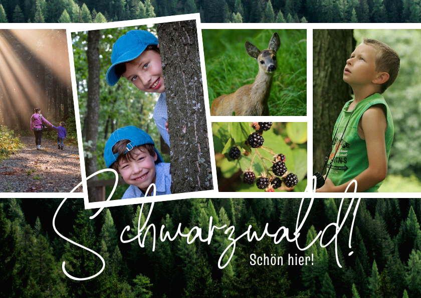 Fotokarten - Postkarte Schwarzwald Urlaub mit eigenen Fotos