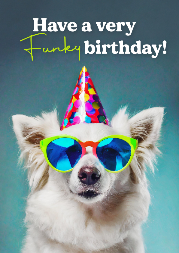Geburtstagskarten - Geburtstagskarte 'Funky Birthday' Hund mit Sonnenbrille