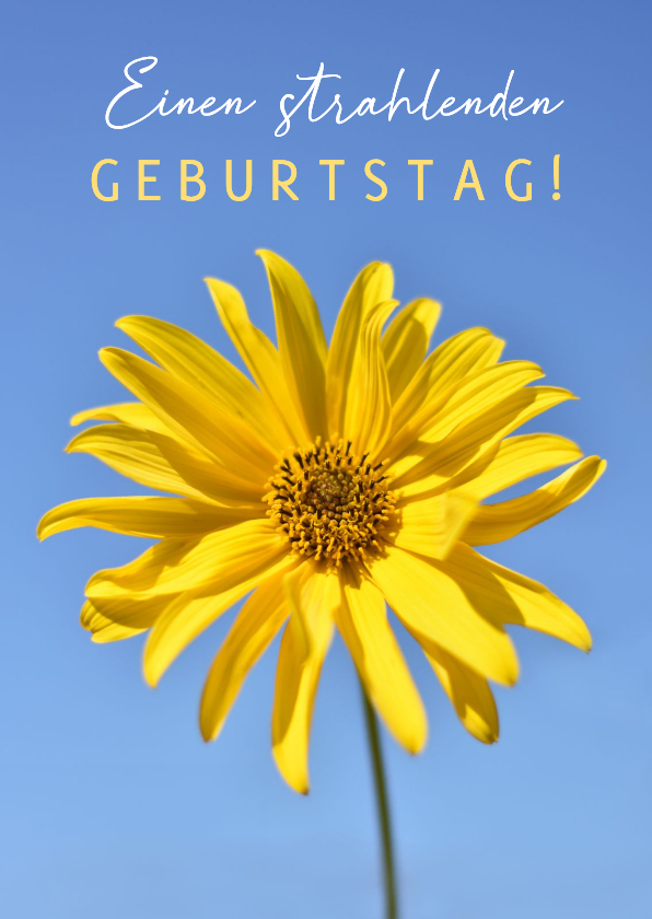 Geburtstagskarte gelbe strahlende Sonnenblume - Geburtstagskarten Geburtstagskarten - Geburtstagskarte gelbe strahlende Sonnenblume