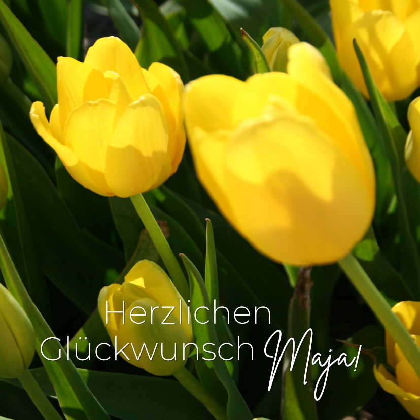 Geburtstagskarten - Geburtstagskarte Gelbe Tulpen