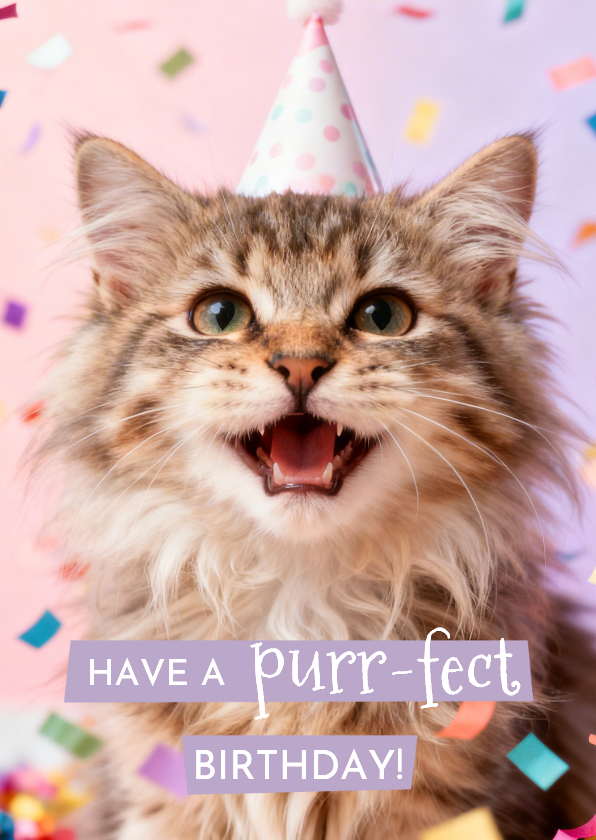 Geburtstagskarten - Geburtstagskarte Katze Partyhut 'purr-fect Birthday'