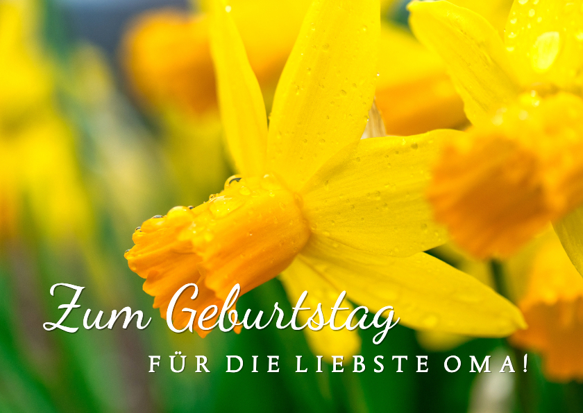 Geburtstagskarten - Geburtstagskarte Osterglocken