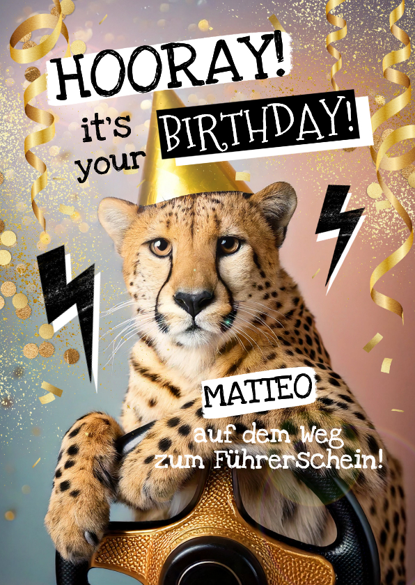 Geburtstagskarten - Geburtstagskarte Teenager Gepard am Steuer