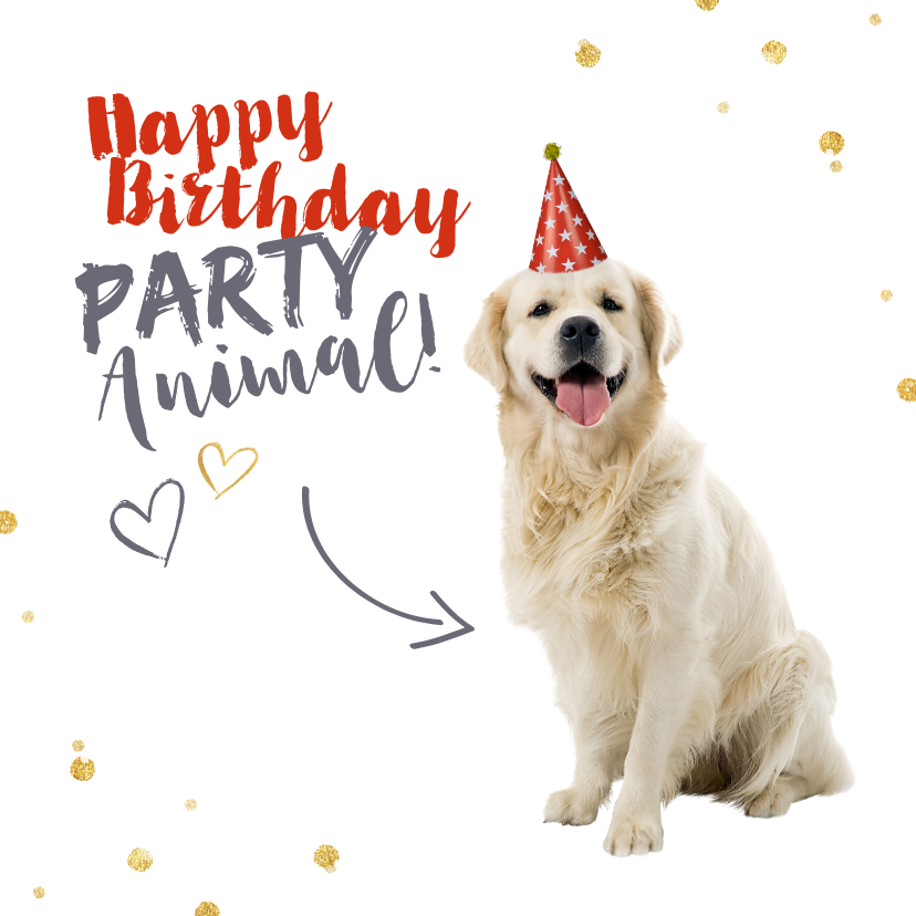 Geburtstagskarten - Glückwunschkarte Partyanimal Hund Happy Birthday