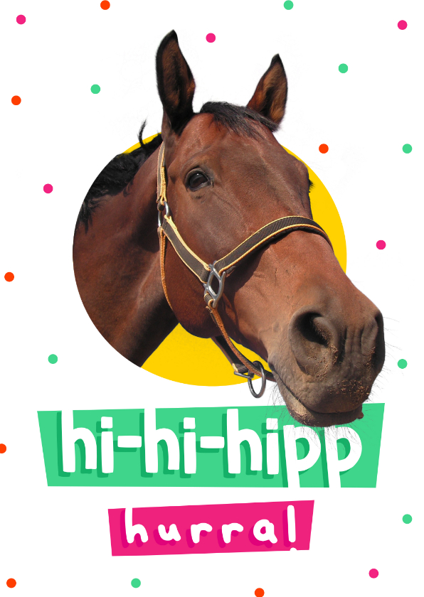 Geburtstagskarten - Pferde-Geburtstagskarte 'Hi-hi-hipp hurra' 