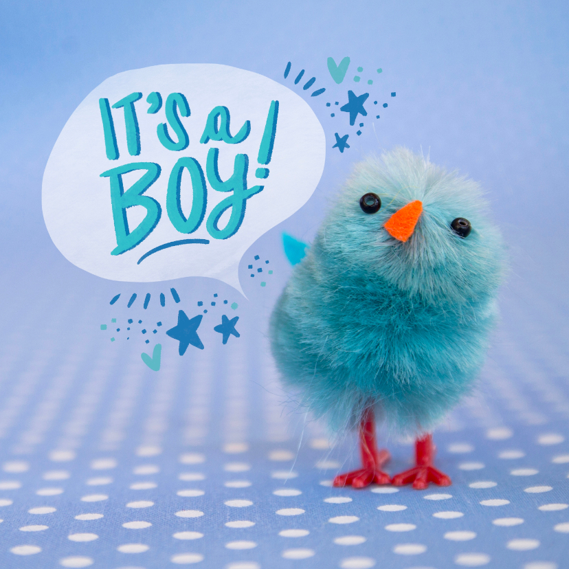 Glückwunschkarten - Glückwunschkarte zur Geburt mit blauem Küken 'It’s a boy!'