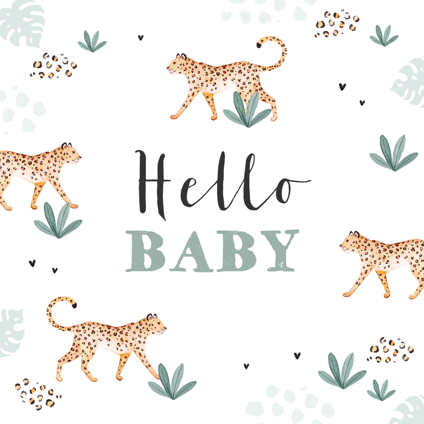 Glückwunschkarten - Hello Baby Glückwunschkarte Panther