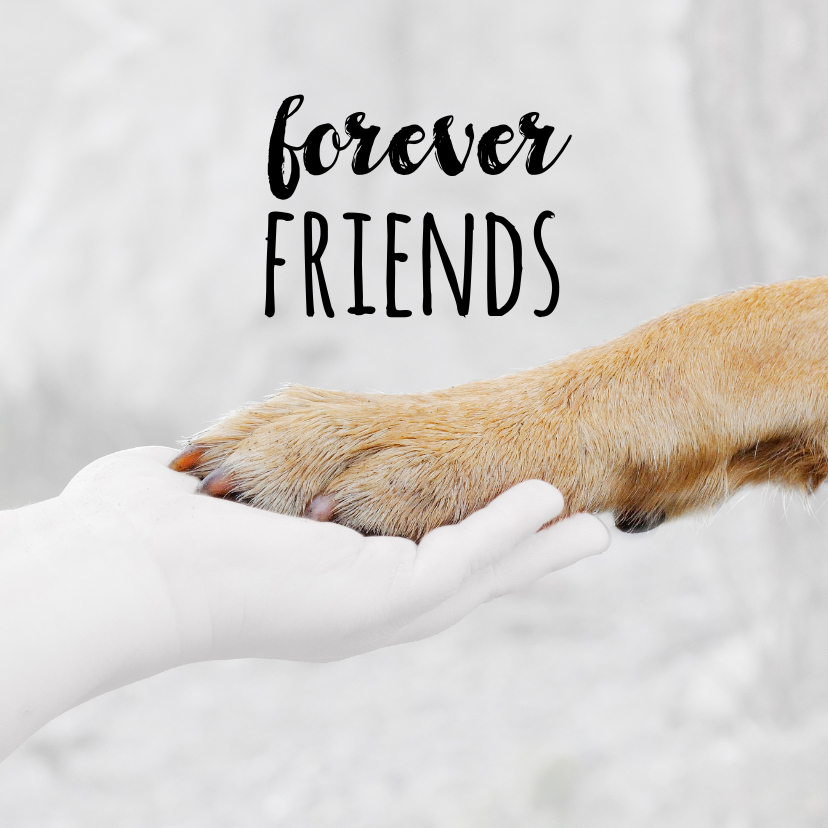 Grußkarten - Freundschaftskarte Hundepfote