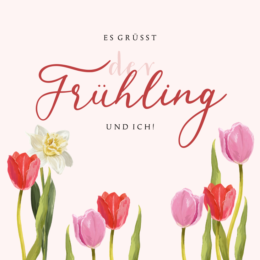 Grußkarten - Frühlingsgrußkarte mit Tulpen