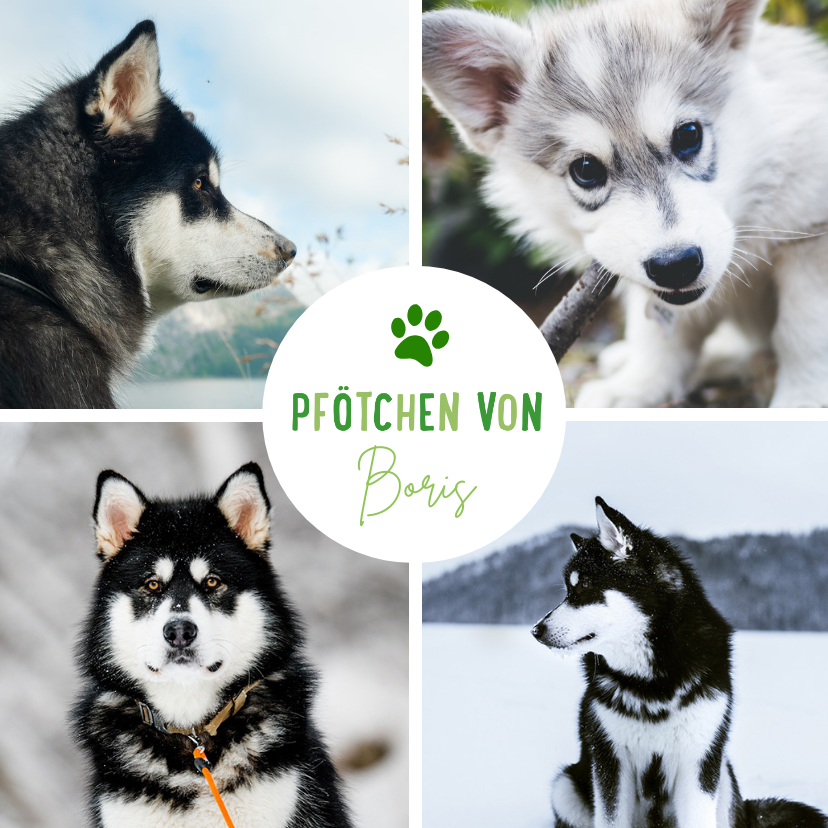 Grußkarte Fotocollage 'Pfötchen von' - Grußkarten Grußkarten - Grußkarte Fotocollage 'Pfötchen von'