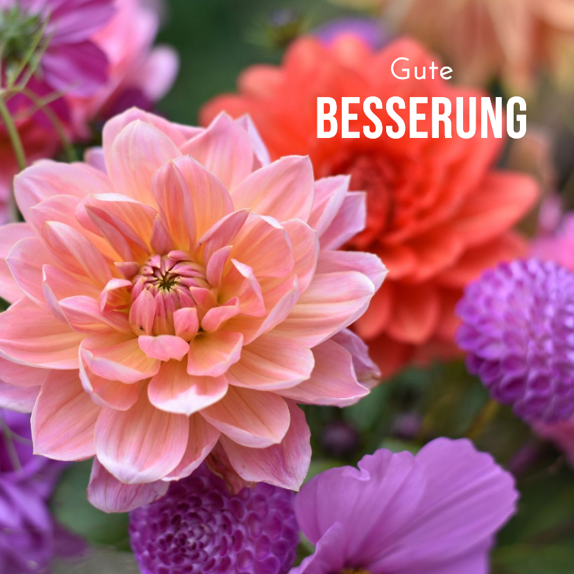 Gute Besserung - Gute Besserungskarte Dahlien