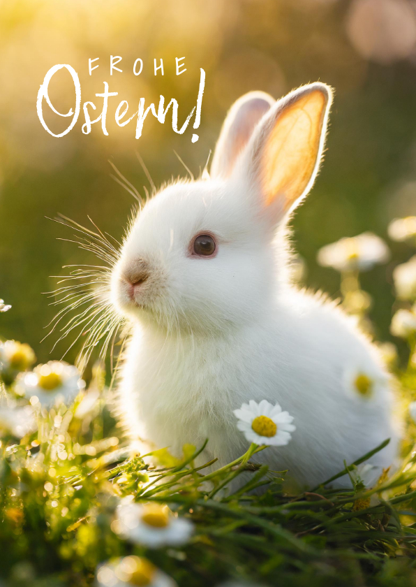 Osterkarten - Osterkarte Osterhase im Gras 