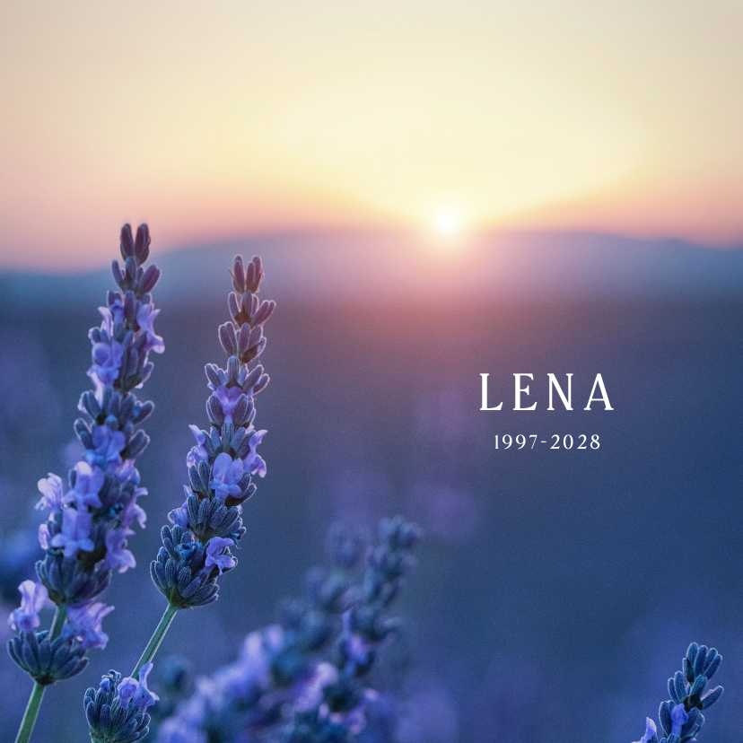 Trauerkarten - Trauerkarte Lavendelfeld & Sonnenuntergang