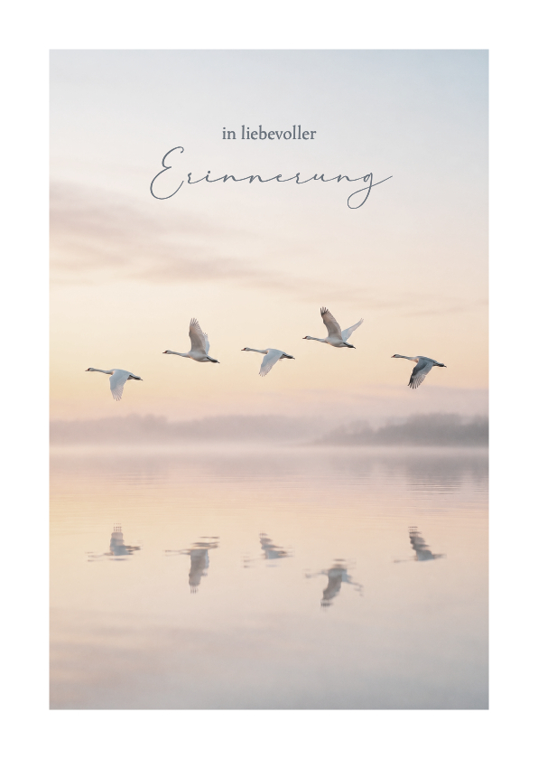 Trauerkarten - Trauerkarte Naturfoto Vögel See mit Rahmen