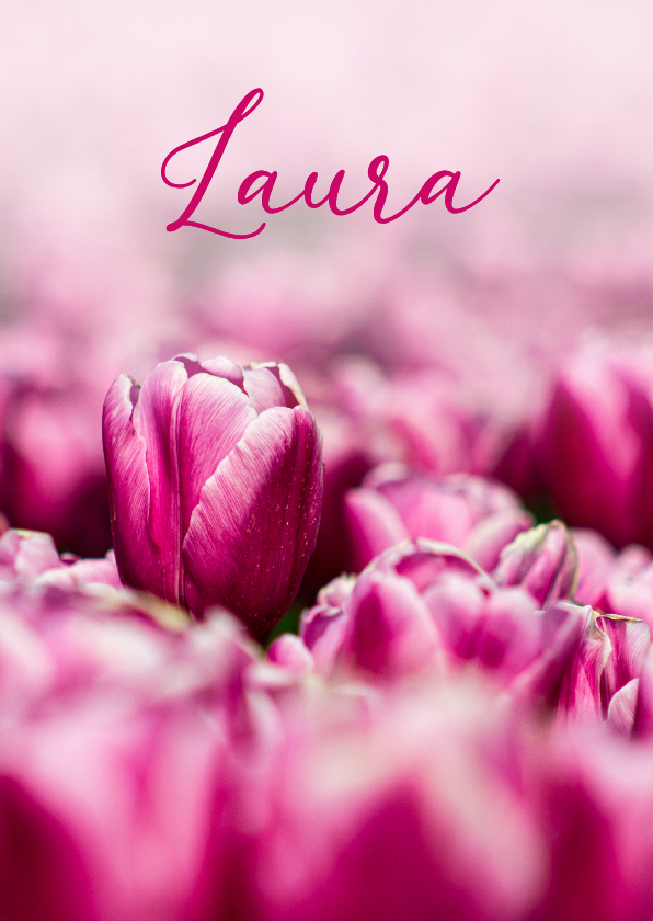 Trauerkarten - Trauerkarte pinke Tulpen Fotografie Trauermitteilung