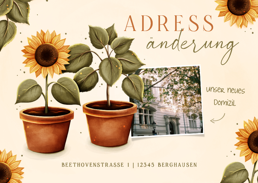 Umzugskarten - Umzugskarte Sonnenblumen Topfpflanze Foto