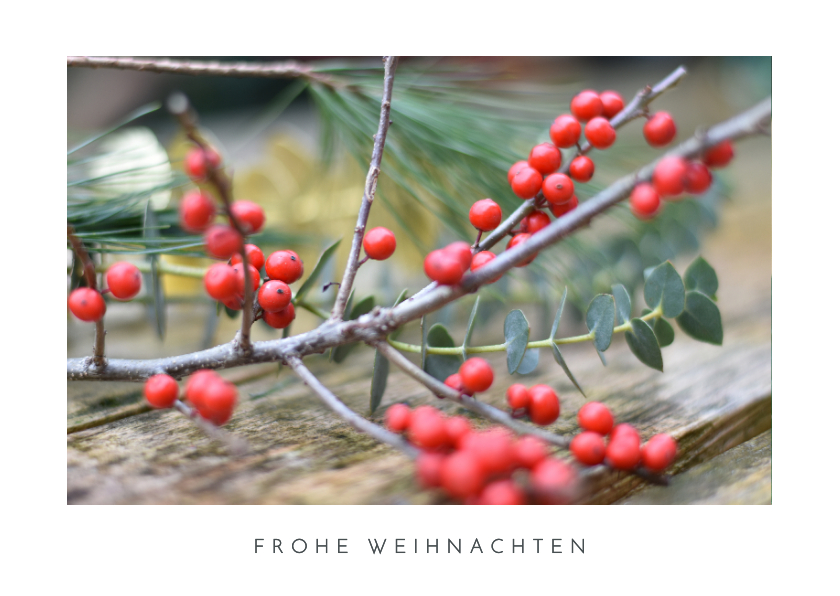 Grußkarte 'Frohe Weihnachten' Naturfoto Beerenzweige - Weihnachtskarten Weihnachtskarten - Grußkarte 'Frohe Weihnachten' Naturfoto Beerenzweige