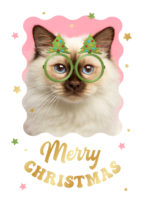 Weihnachtskarten - Lustige Weihnachtskarte Haustier mit Brille