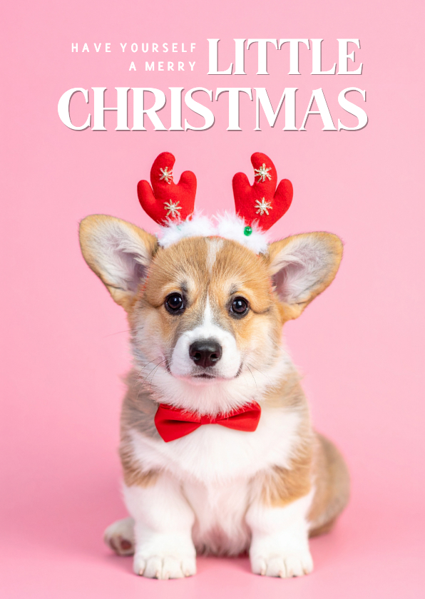 'Merry little Christmas' Weihnachtskarte Hund mit Geweih - Weihnachtskarten Weihnachtskarten - 'Merry little Christmas' Weihnachtskarte Hund mit Geweih
