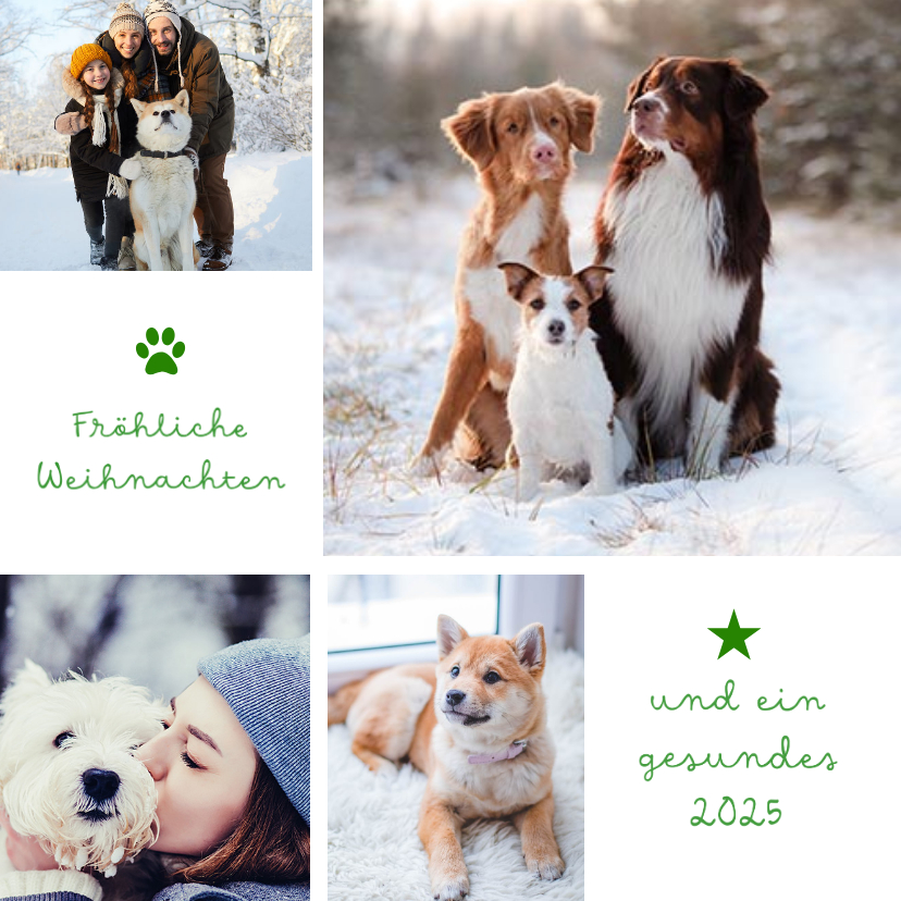 Tierische Fotocollage 'Fröhliche Weihnachten' - Weihnachtskarten Weihnachtskarten - Tierische Fotocollage 'Fröhliche Weihnachten'