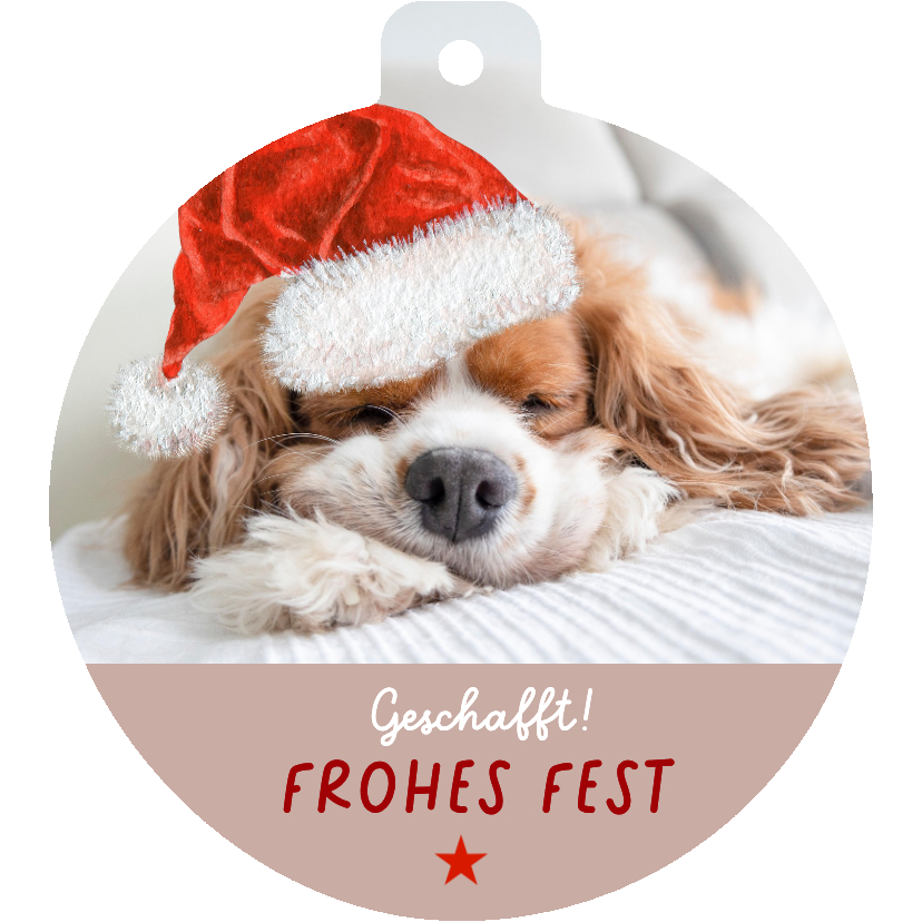 Umzugskarte Weihnachten lustiger Hund mit Weihnachtsmütze - Weihnachtskarten Weihnachtskarten - Umzugskarte Weihnachten lustiger Hund mit Weihnachtsmütze