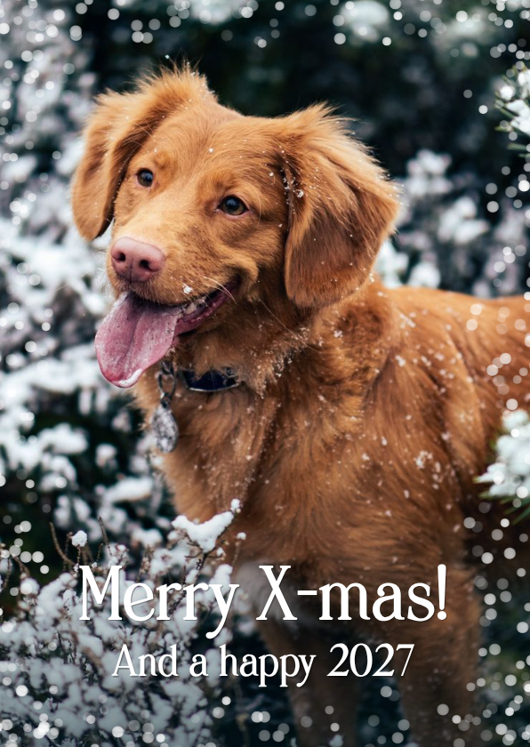 Weihnachtsgrußkarte eigenes Foto Haustier - Weihnachtskarten Weihnachtskarten - Weihnachtsgrußkarte eigenes Foto Haustier