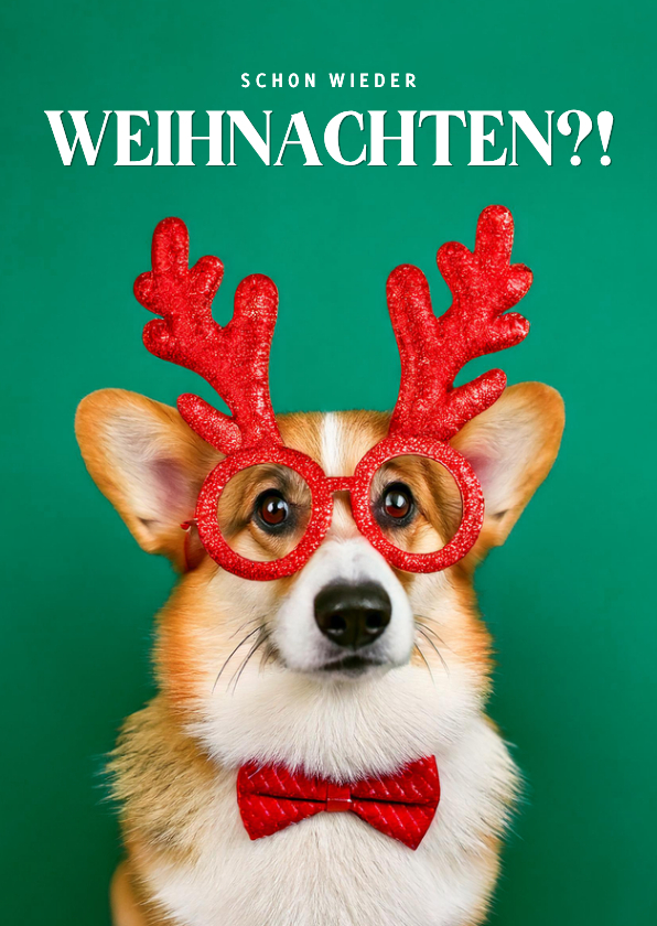 Weihnachtskarte Corgi 'Schon wieder Weihnachten?!' - Weihnachtskarten Weihnachtskarten - Weihnachtskarte Corgi 'Schon wieder Weihnachten?!'