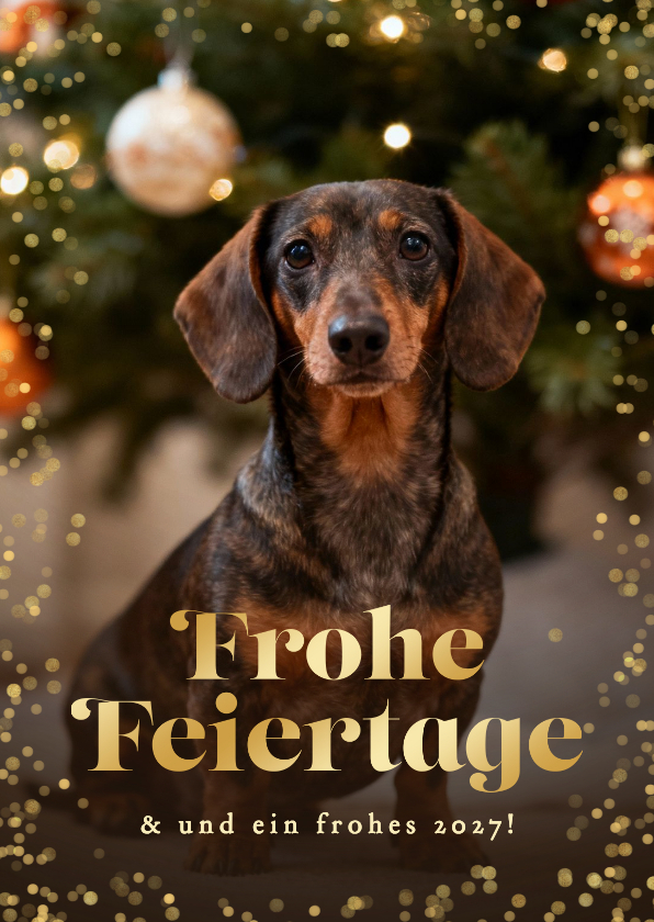 Weihnachtskarten - Weihnachtskarte Dackelfoto Goldrand 'Frohe Feiertage'