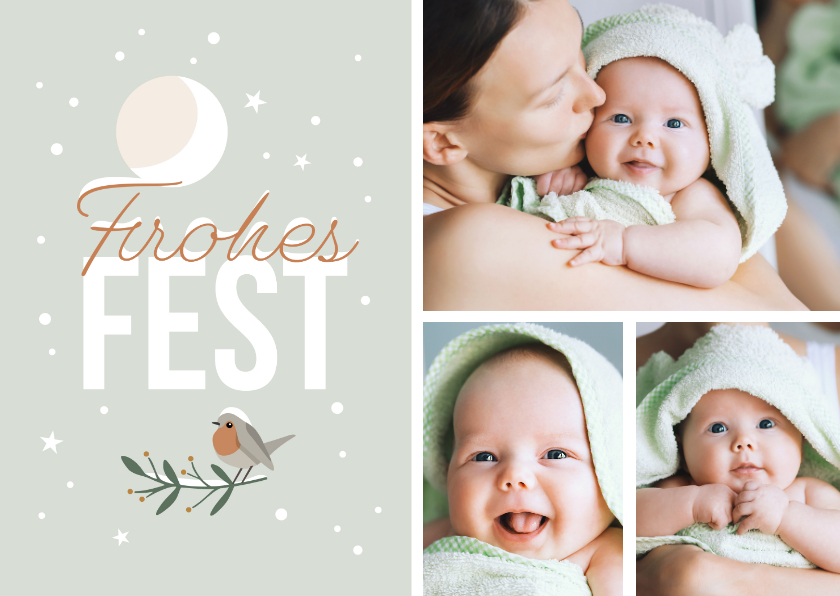 Weihnachtskarte Fotos, Mond & Rotkehlchen - Weihnachtskarten Weihnachtskarten - Weihnachtskarte Fotos, Mond & Rotkehlchen