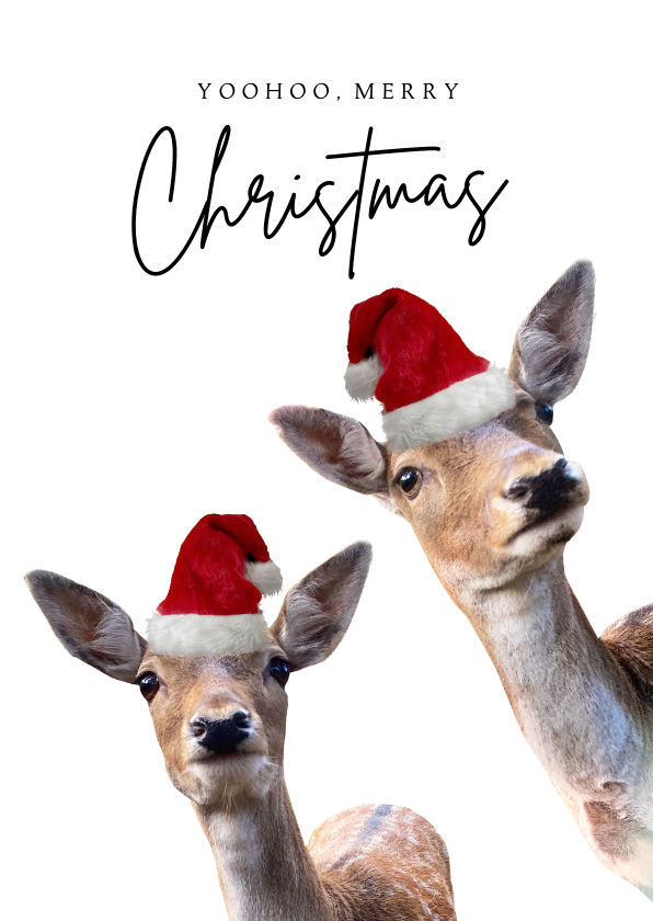 Weihnachtskarten - Weihnachtskarte lustige Rehe mit Weihnachtsmütze