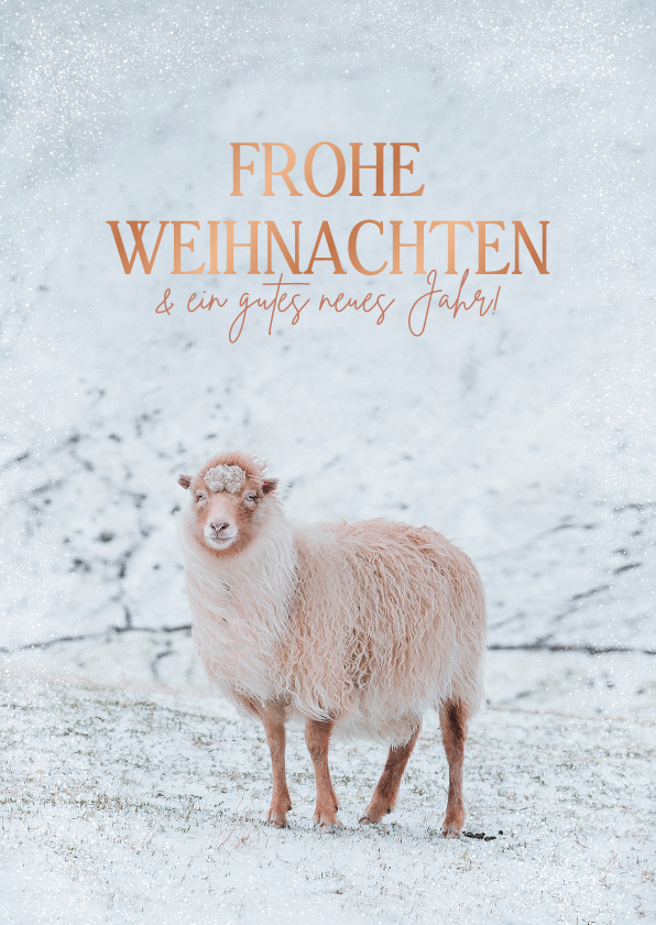 Weihnachtskarten - Weihnachtskarte mit Schaf im Schnee
