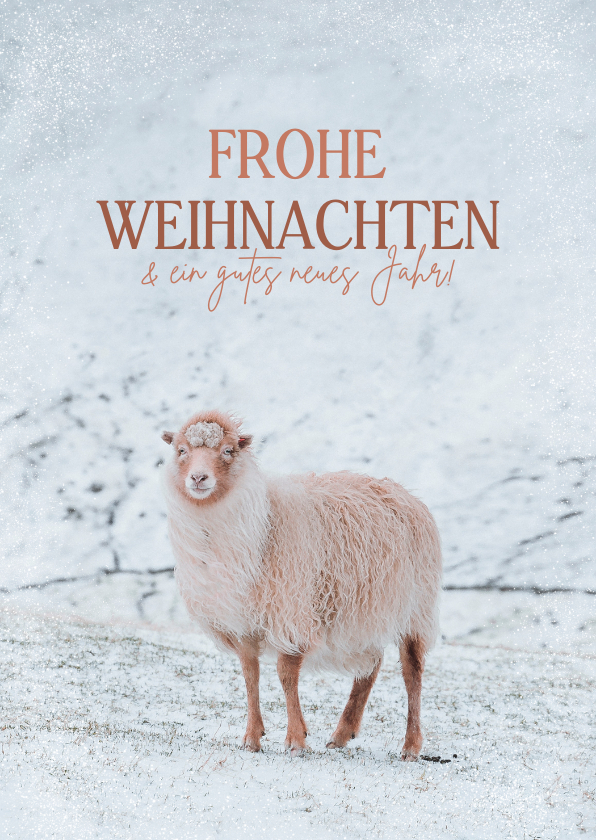 Weihnachtskarten - Weihnachtskarte mit Schaf im Schnee