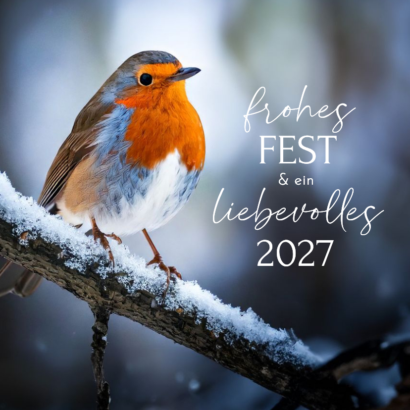 Weihnachtskarte Rotkehlchen im Schnee 'Frohes Fest' - Weihnachtskarten Weihnachtskarten - Weihnachtskarte Rotkehlchen im Schnee 'Frohes Fest'