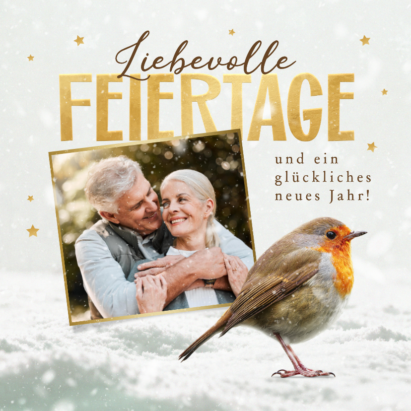 Weihnachtskarte Rotkehlchen im Schnee mit Foto - Weihnachtskarten Weihnachtskarten - Weihnachtskarte Rotkehlchen im Schnee mit Foto