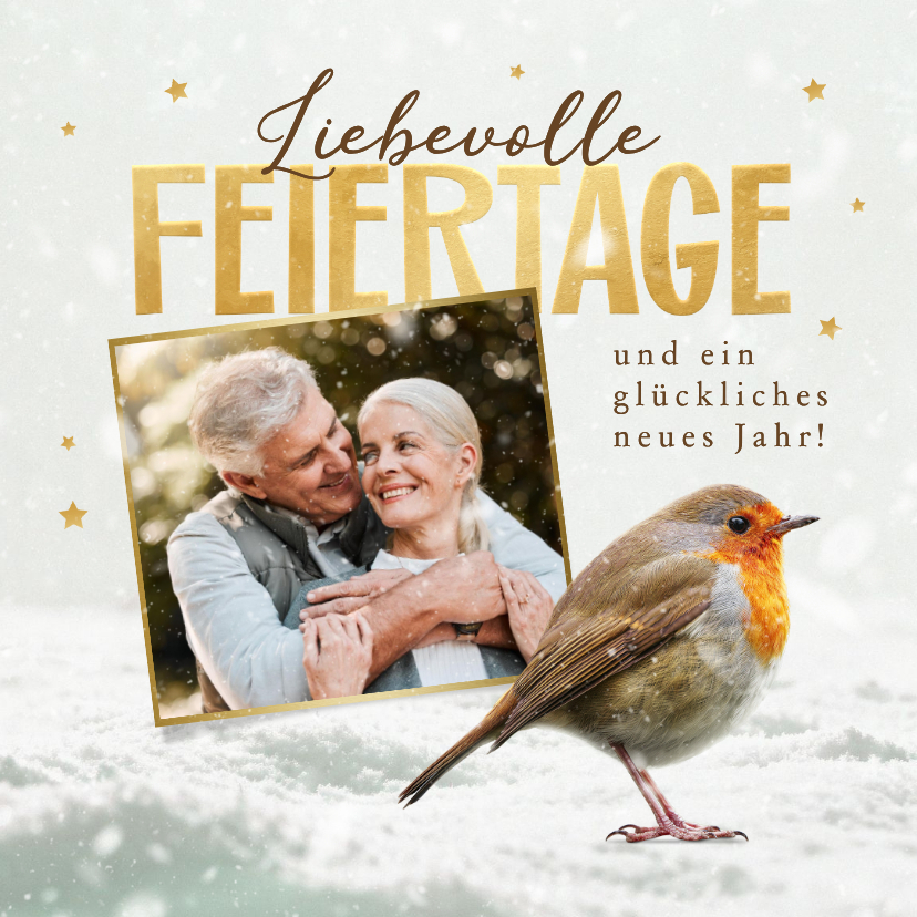 Weihnachtskarten - Weihnachtskarte Rotkehlchen im Schnee mit Foto