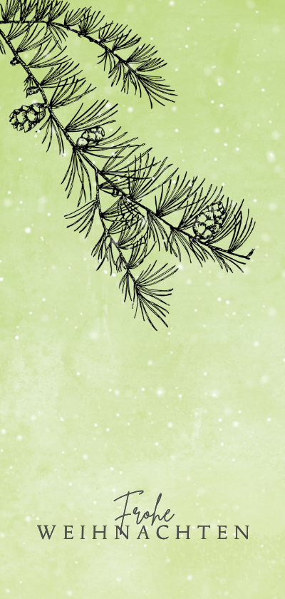 Weihnachtskarte Tannenzweig und Schnee - Weihnachtskarten Weihnachtskarten - Weihnachtskarte Tannenzweig und Schnee