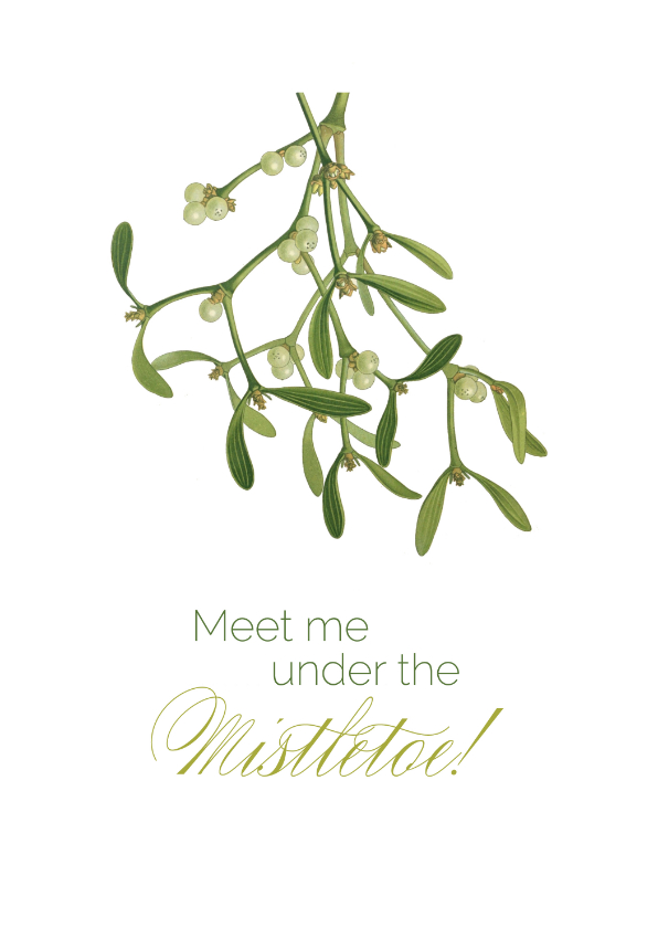 Weihnachtskarten - Weihnachtskarte 'Under the Mistletoe'