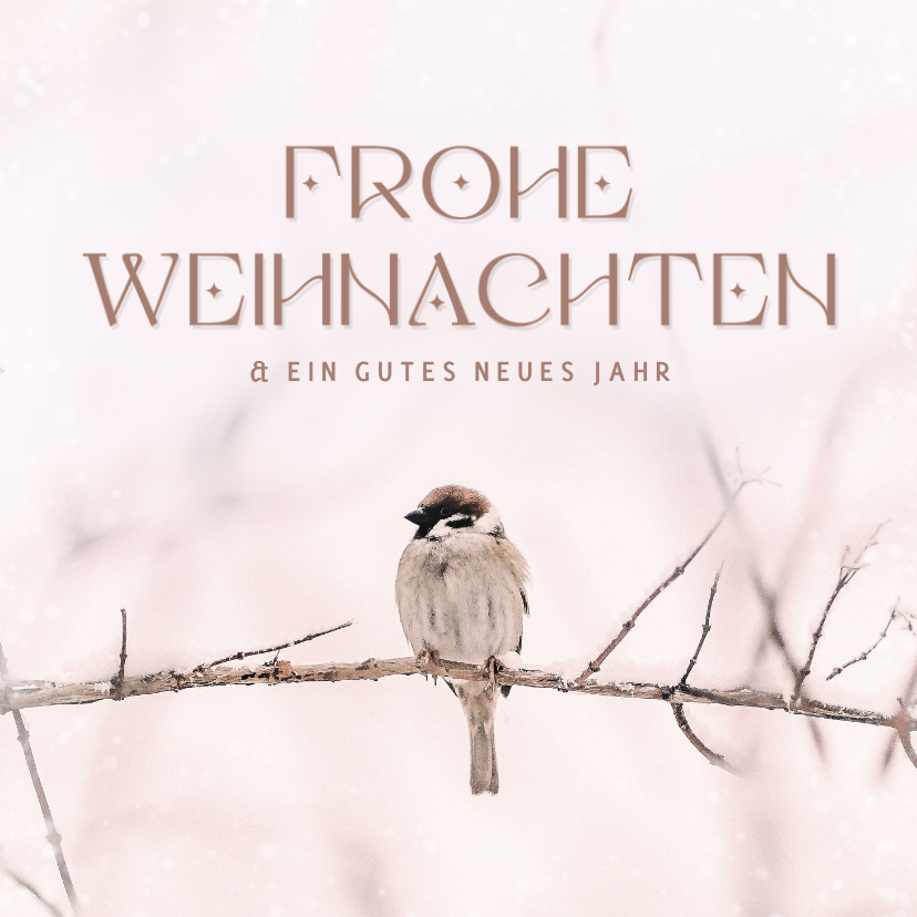 Weihnachtskarten - Weihnachtskarte Vogel auf Zweig