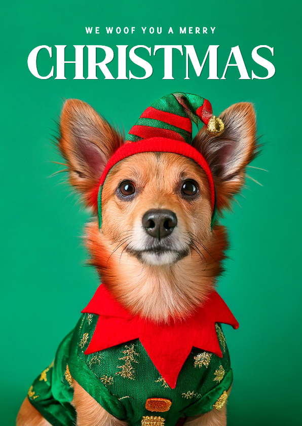 Weihnachtskarte Weihnachtself Hund mit Mütze - Weihnachtskarten Weihnachtskarten - Weihnachtskarte Weihnachtself Hund mit Mütze