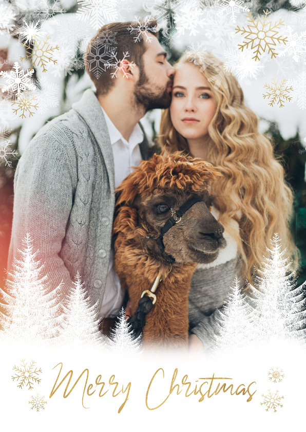 Weihnachtskarten - Weihnachtskarte winterlich mit Foto und Schneeflocken