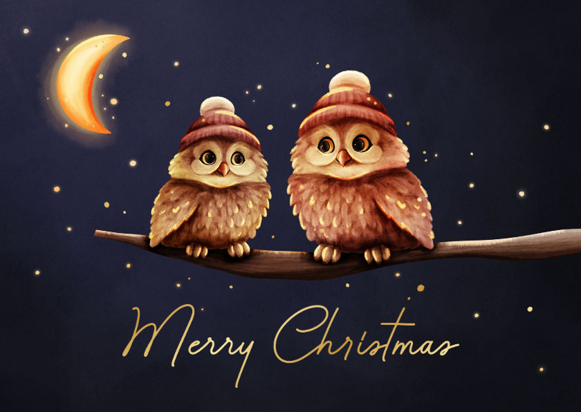 Weihnachtskarte zwei Eulen mit Mütze 'Merry Christmas' - Weihnachtskarten Weihnachtskarten - Weihnachtskarte zwei Eulen mit Mütze 'Merry Christmas'